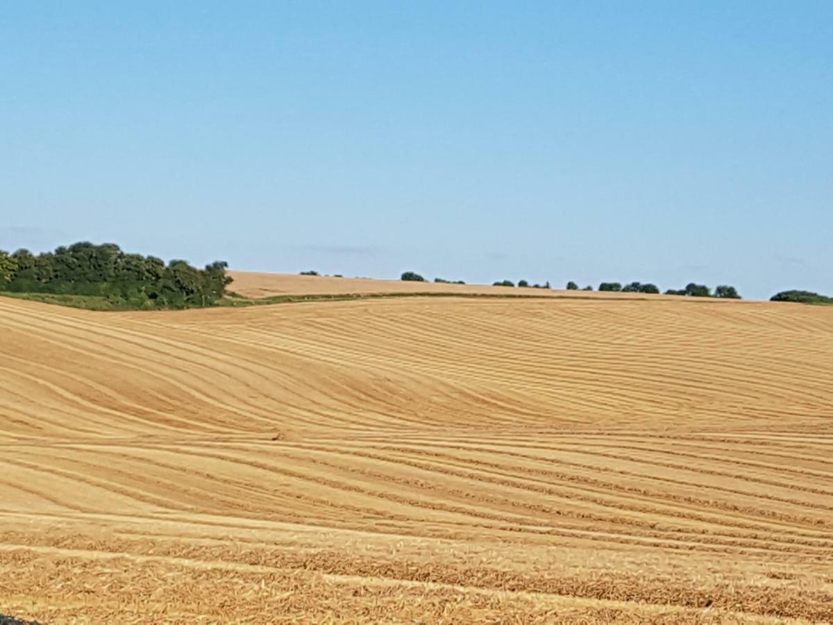 La Grue Gites Mons  Exteriör bild